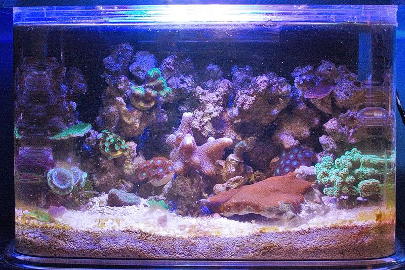 IMG 9282 - Nate's 3g Nano