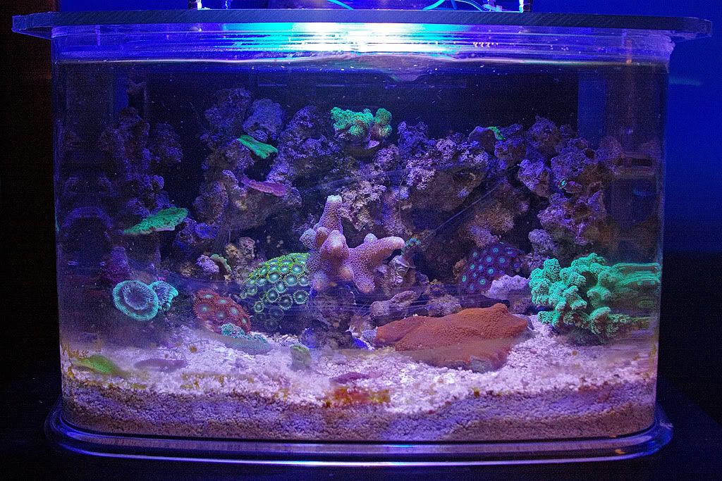 IMG 9301 - Nate's 3g Nano