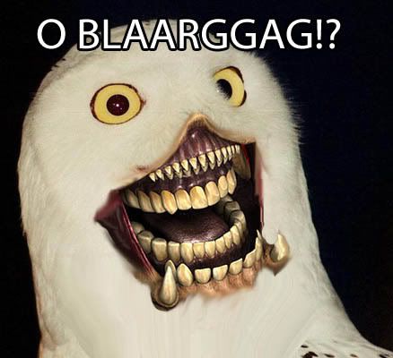 oblarraag.jpg