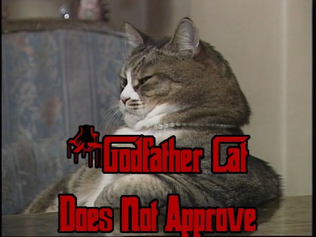 Godfathercat.jpg