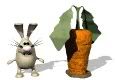 http://i72.photobucket.com/albums/i164/Delesa1/Bunnys/carrotbunny.jpg