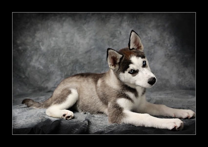 IMAGE: http://i72.photobucket.com/albums/i164/alyssalore/Oct2007/IMG_1420tuweb.jpg