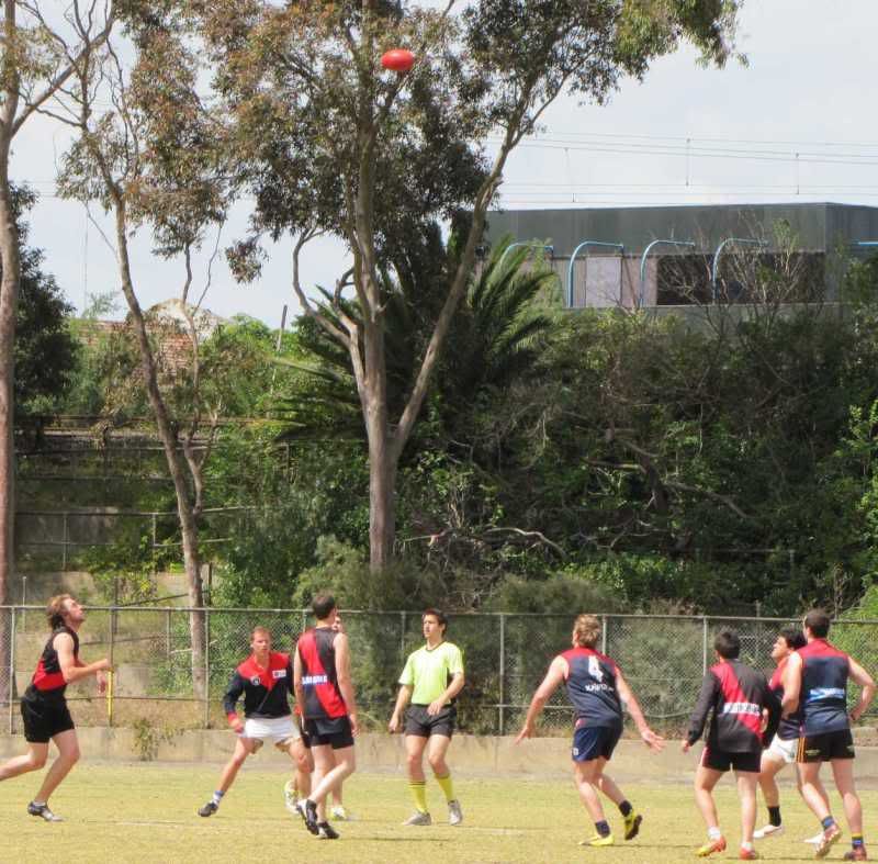 p5.jpg