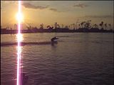 kneeboardingatCWC.jpg image by jociepd