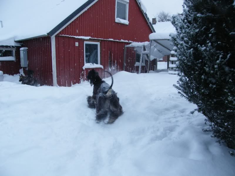 DSCF5063.jpg