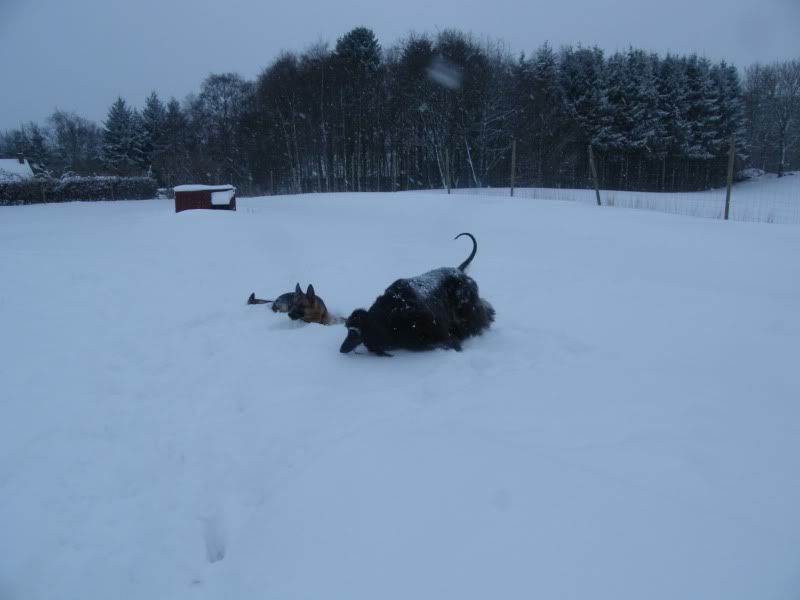 DSCF5086.jpg