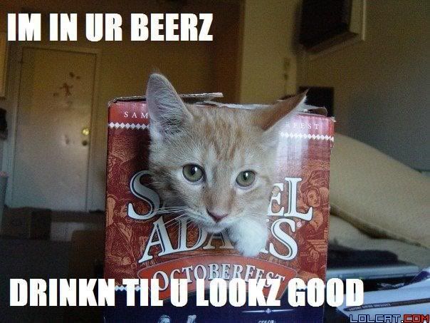 beercatdrinkin.jpg