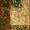 SPRING.gif
