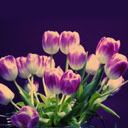 holidays_041.jpg