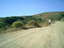 Finishing my odyssey on the Coast Road, nearly broken