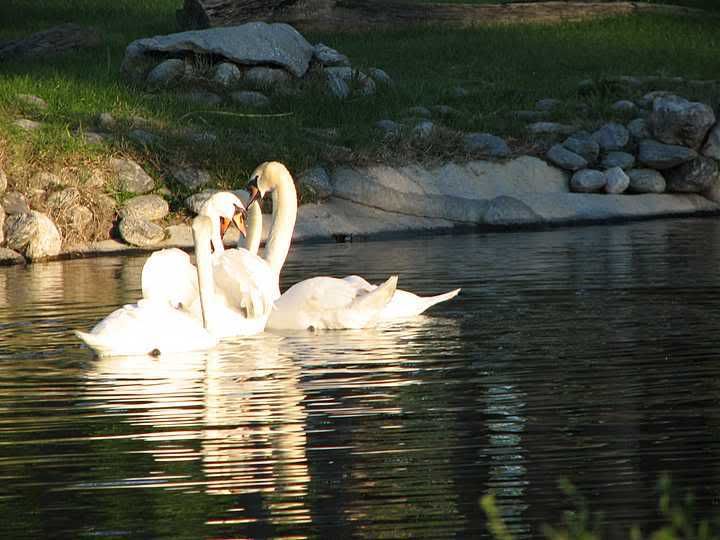 Photobucket - Video and Image Hosting