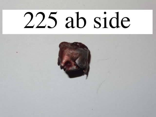 225abside.jpg