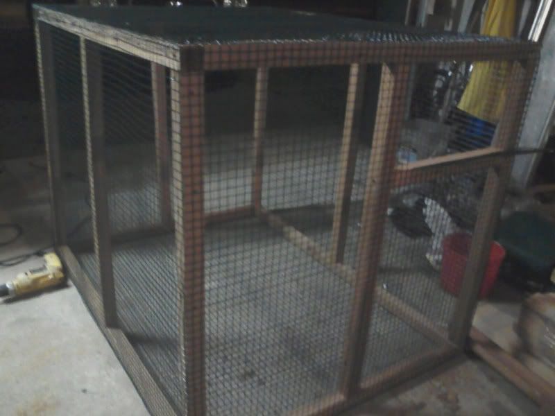 Quail pen is done
