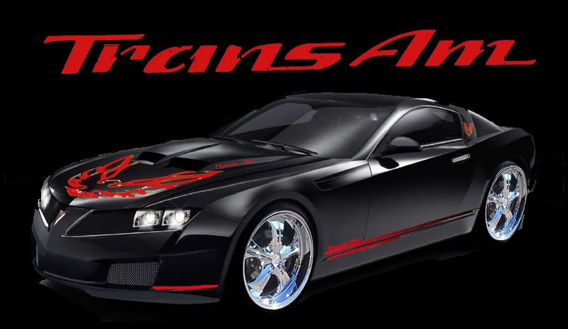 trans am 2011 Pictures, Images and Photos