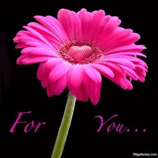 flowers heart Pictures, Images and Photos