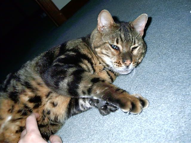IMAG0059.jpg