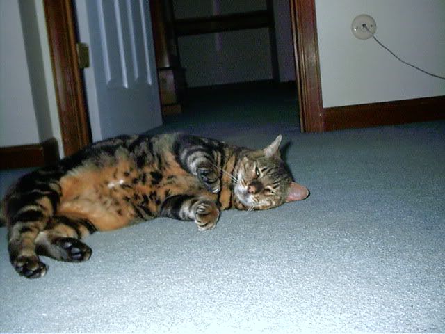 IMAG0063.jpg
