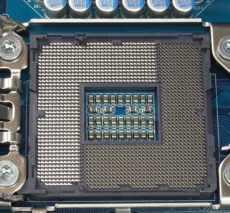 healthysocket.jpg