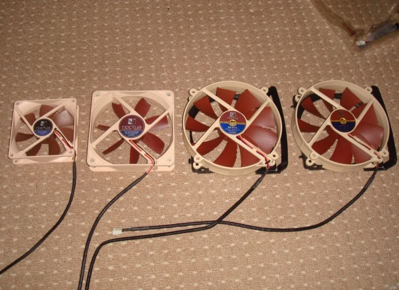allfans-1.jpg