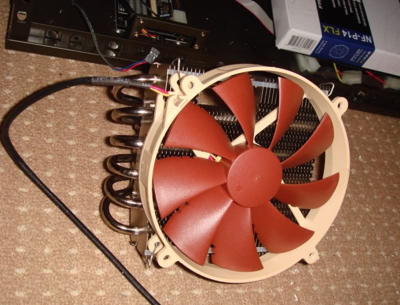 coolerdrool.jpg