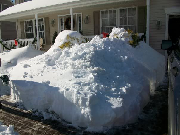 snow2.jpg