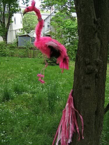 http://i72.photobucket.com/albums/i175/Gigipix/In%20and%20Around%20Cambridge/2008may_flamingo1small.jpg