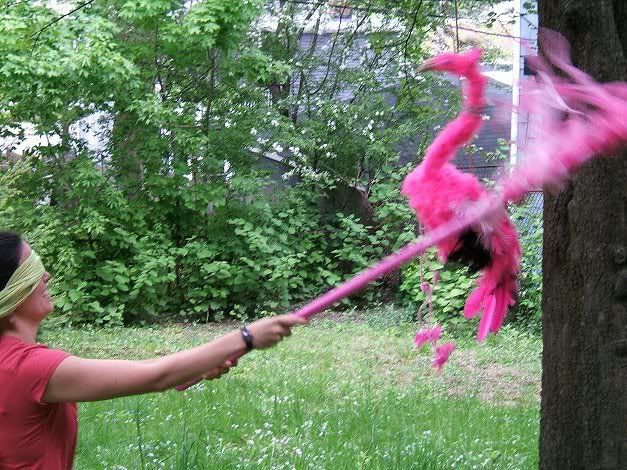 http://i72.photobucket.com/albums/i175/Gigipix/In%20and%20Around%20Cambridge/2008may_flamingo_Lili2small.jpg