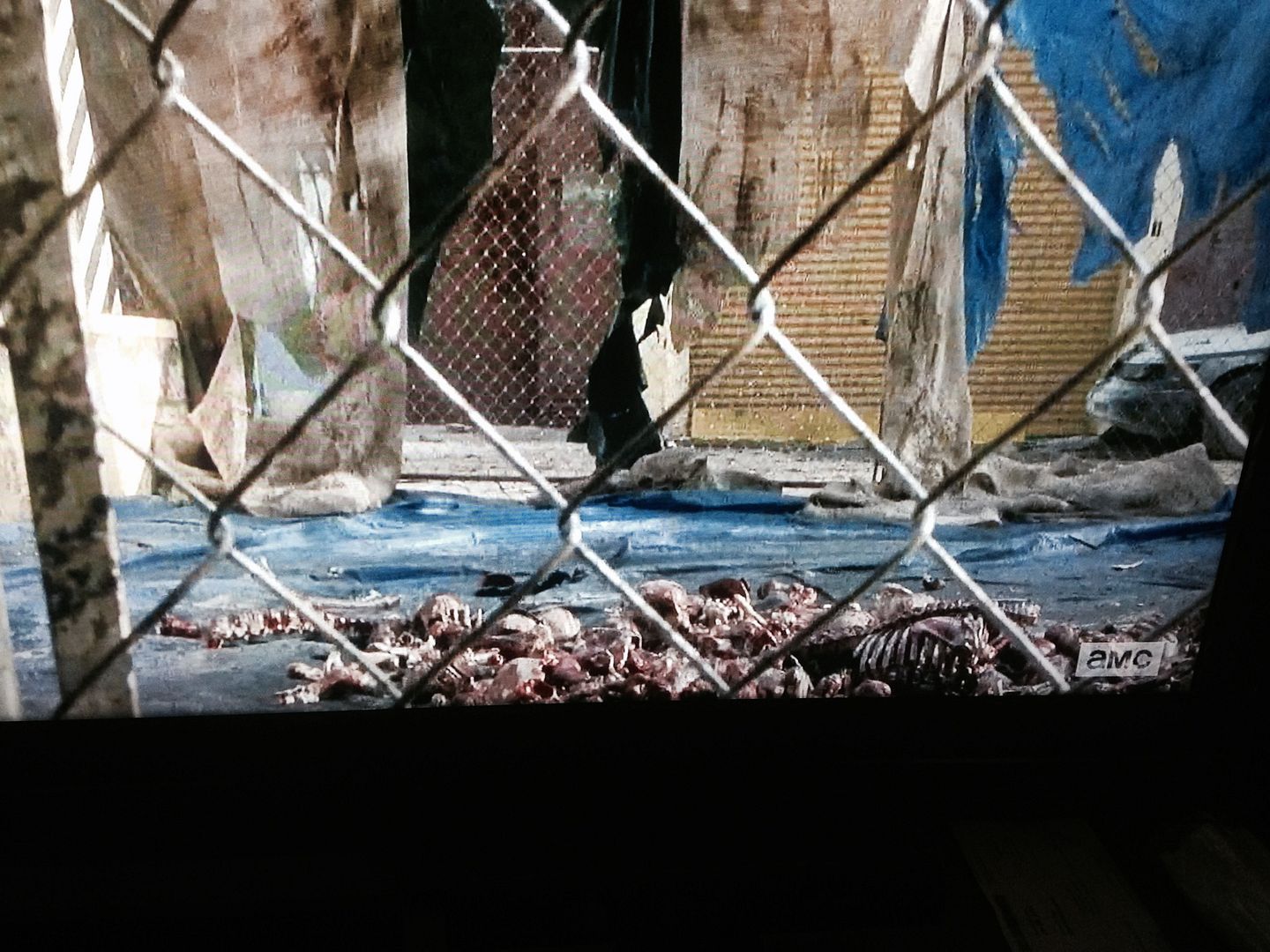 bones on The Walking Dead season 4 finale