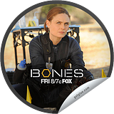 Bones
