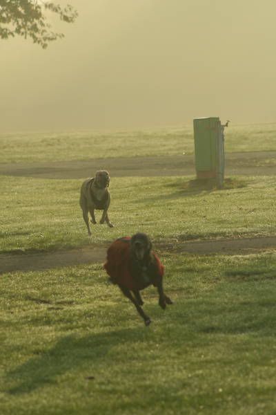 eastofenglandshow13.jpg