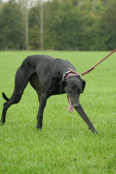 llcoursing140.jpg