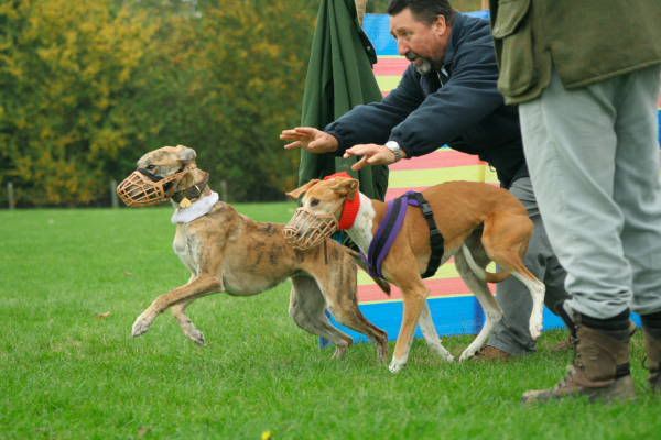 llcoursing181.jpg