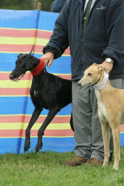 llcoursing211.jpg