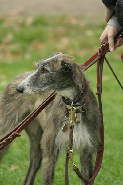llcoursing227.jpg