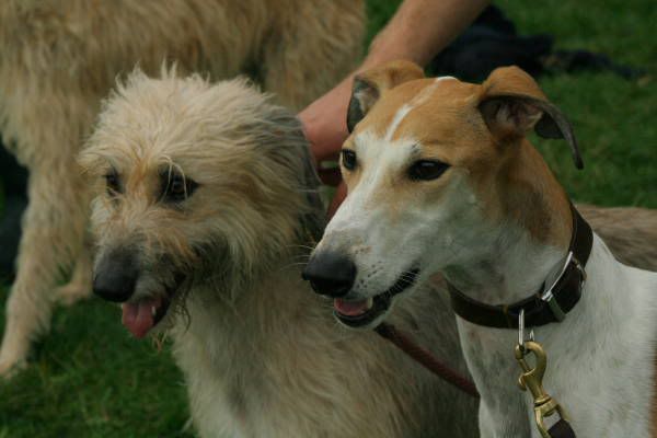 llcoursing261.jpg