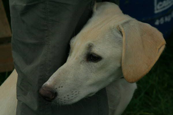 llcoursing272.jpg