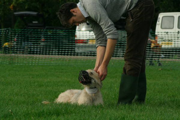 llcoursing353.jpg