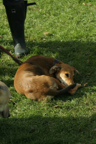 llcoursing376.jpg