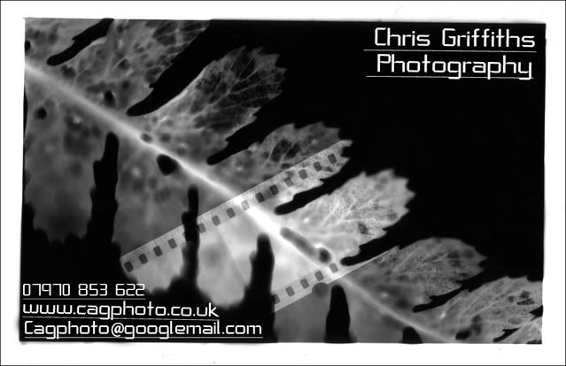 nd1businesscardfinal.jpg