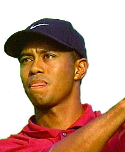 woods.jpg