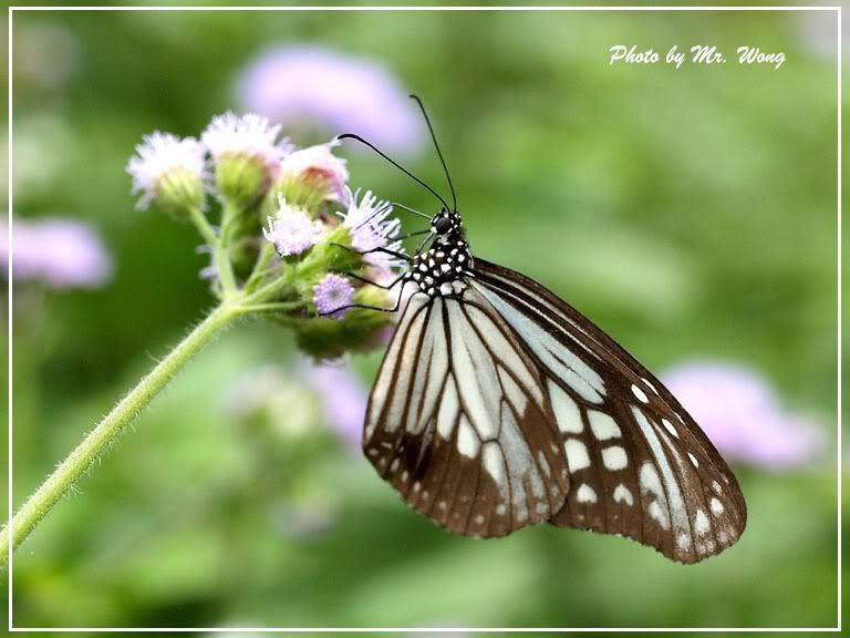 Image hosting by Photobucket