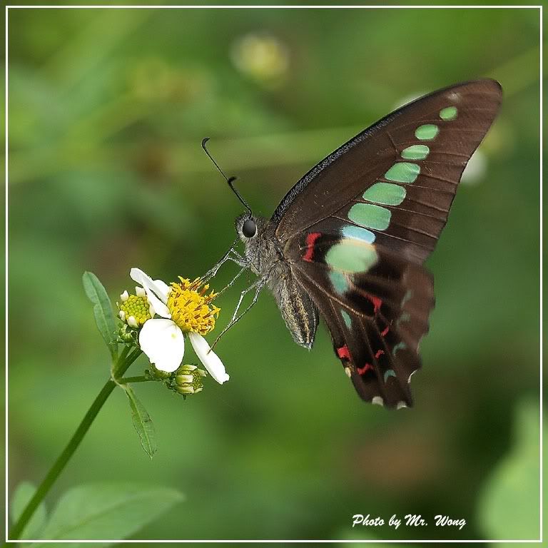 Image hosting by Photobucket