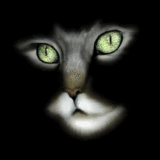 Avatar de Usuario