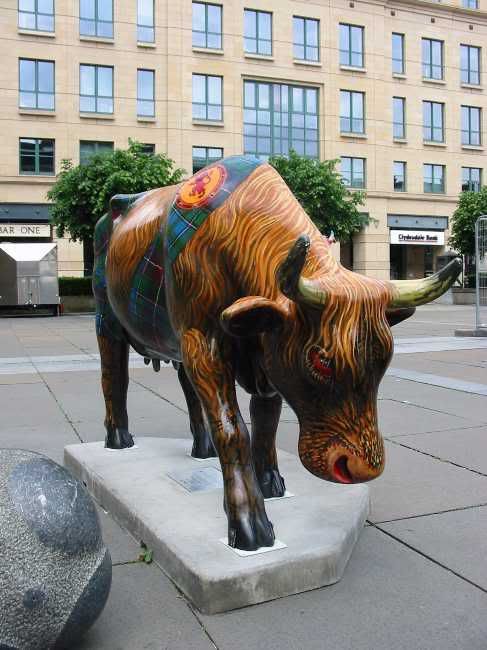 Och Aye the Moo!
