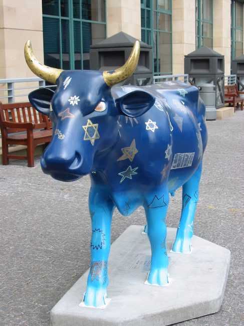 Cosmic Cow