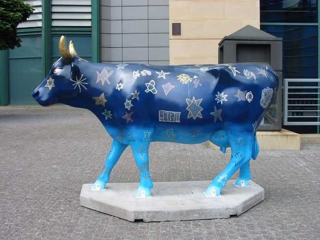 Cosmic Cow