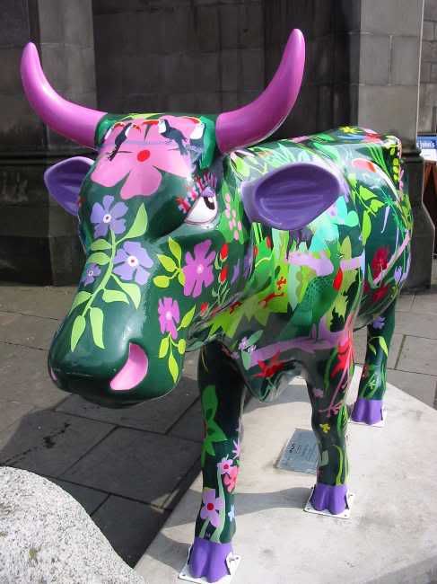 Rainforest Cow