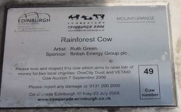 Rainforest Cow