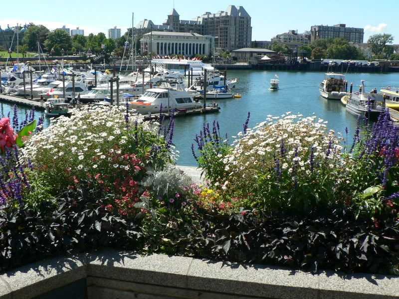 http://i72.photobucket.com/albums/i179/egpx/vancouver%20to%20victoria%20by%20floatplane/501.jpg