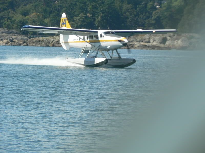 http://i72.photobucket.com/albums/i179/egpx/vancouver%20to%20victoria%20by%20floatplane/512.jpg